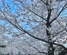 あなたの転職の相談乗ります 上場企業・中小・ベンチャーを経験した私が相談に乗ります！ イメージ1