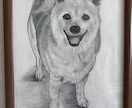 鉛筆でお犬さんを描きます お犬さんの思い出の写真を鉛筆画にいたします。 イメージ2