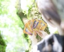 離婚するべき？夫との関係に悩むあなたの未来を視ます 霊感タロットでモヤモヤの原因を見つけます イメージ1