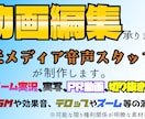 縦長short、横動画、動画編集承ります 【聞いてなくても聞き取れる】【目を離しても見れる】動画制作 イメージ1