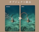 写真のノイズ処理、高画質化処理をいたします 限界を超える美しさ。ノイズ除去と高画質化で最高のクオリティ。 イメージ3