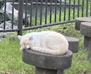 リピ様専用：使命遂行はじめの一歩ご相談お受けします 既にお受取りの使命鑑定結果を元に実生活とで照らし合わせます イメージ1