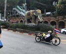 ビギナーさんのタイ旅を一緒に考えます 訪タイ歴15回、子連れ・1人旅・友人旅での経験をシェアします イメージ3