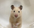 転職についてのお悩み全般受けとめます 私自身、5回の転職しています、、が。 イメージ1
