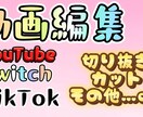 shortsやTikTok向けの動画編集します shorts用や生放送の切り抜きの動画の編集します! イメージ1