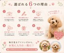 フォトリアル『うちの子』SNSアイコンお作りします 写真3枚からLINE・Instagram・X用アイコン作成 イメージ5