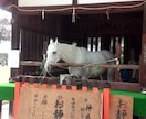 京都の「今ここ知りたい」をお届けします スポット1件あたり300円✧ ※条件により前後します イメージ4