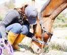 最高画質×女性同行。元チワワ飼い主が可愛く写します 女性同行可で安心。6100万画素の描写で一生モノの写真を。 イメージ5