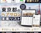 営業しやすい東京都のヘアサロンリストを売ります インスタ運用・Web制作・LINE構築向け厳選リスト① イメージ1
