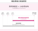 新事業進出補助金の事業計画書を作成します 【コンサル x 投資銀行出身者】短納期で高品質な事業計画書 イメージ8