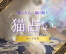 5名【限定】迷い猫が1枚で答えるミニ占いをします ワンオラクルで今の運命をやさしく鑑定 イメージ1