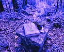 占いで変わらなかった原因を精霊霊視で視通します 原因がわかる・繰り返しが終わる・人生の流れが動き出す イメージ7