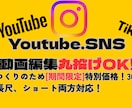丸投げOK！長尺、ショート動画の編集を承ります 【初月限定】丁寧な編集と即レス！動画投稿の不安ゼロにします イメージ1