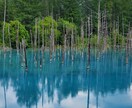 北海道の風景画像をお届けします 地元北海道での旅行が趣味で様々な北海道をお届けします。 イメージ1