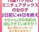 アニマルリーディング&ペットオーラヒーリングします ペットの気持ち❤️ペットコミュニケーション❤️ イメージ3