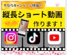 縦長動画【各SNS】ジャンジャン作ります Instagram・YouTube・TikTokお任せを！！ イメージ1