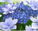 お悩み事をチャネリングをし、メッセージを伝えます ーモヤモヤを解消しましょう！ー　★生年月日は不要です イメージ1