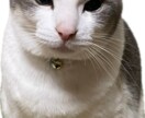 経験豊富なアラ還社長こばじぃがお話し伺います 鬱な気持ちに寄り添い、起業も視野に可能性を気付かせます。 イメージ2