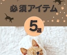 思わずクリック！目をひくバナーやヘッダー制作します バナー／ヘッダー／リッチメニュー／SNS／各種広告画像 イメージ8