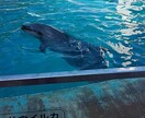 何かあってもなくても、お気軽に♪ お待ちしています ほわっ♪と心が安らぐ時間。よっしゃ！って元気の湧く時間。 イメージ4