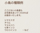 小鳥の似顔絵アイコン作成します セキセイ・オカメ・文鳥などその他の小鳥も対応します。 イメージ2