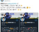 Twitterプロフィール５つ添削アドバイスします あなたの魅力を伝えきりましょう！ツイッター拡散・宣伝OP有り イメージ3