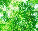 悩みを抱えた人の相談に乗ります うつを乗り越えた女子によるカウンセリング イメージ2