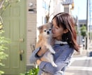名古屋で家族やペット写真を出張撮影します 女性同行可能で安心撮影可能です。 イメージ7
