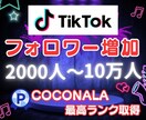 TikTokの外国人フォロワー増加します TikTok宣伝・拡散！フォロワー2000人増加確実！ イメージ1