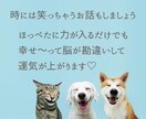 1分OK。どんな過去も全肯定し貴方の味方になります 借金・不倫・離婚を乗り越えた私が生きづらさを解消するお手伝い イメージ7
