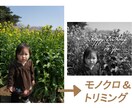 《無料》　お写真を、モノクロやセピアにして、トリミングもします！（文字入れも可） イメージ1