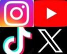 YouTube登録者数を伸ばすための支援を行います 2025.9まで特別価格にてご提供！ イメージ5