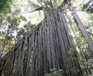 オーストラリア在住者から聞く現地情報を提供します オーストラリア在住者から直接聞く現地の情報をご提供 イメージ6