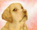 ペットの似顔絵描きます 色鉛筆で優しい雰囲気に描きます。 イメージ2