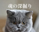 霊視で魂を深掘ります 本来のあなたと前世、現世の使命を視通します イメージ1