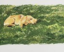 ペットの絵を描きます オイルパステルを使ってかわいいペットを描く イメージ2