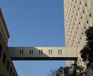 好き！この気持ちをカタチにするための戦略を立てます 【恋のキューピット】として、悩み相談してください！！ イメージ6