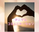 アニマルコミュニケーションをします ☆動物さんの情報空間にアクセスします☆虹の橋の子もOKです☆ イメージ1