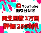 YouTube再生回数と評価が増えるまで宣伝します 法人向け★再生1万回と評価2500件増加で収益化を加速！ イメージ1