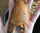 蟹取り方法(ノコギリガザミ、イシガニ)教えます 高級蟹を実際に採取している本人だから分かるコツ伝授 イメージ2