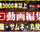 動画編集全般承ります 経験豊富な総フォロワー120万人現役プレイヤーが全て対応！ イメージ1