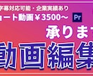 ショート動画編集承ります 日本語英語字幕もOK ショート動画編集します イメージ1