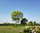 ご相談を受けて、私が大切だと思うアドバイスをします お仕事や子育てに疲れた方が、自信回復するためのお手伝い イメージ1