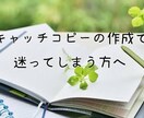 目に止まる素敵なキャッチコピー提供します これだ！ってなるようなキャッチコピーをご提案します。 イメージ1