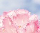 月からのメッセージカードであなたを癒します そのお悩み 月に寄り添って占います イメージ5