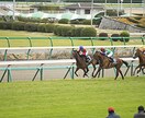 予想、知識必要なし！投資競馬とはなにか？教えます 無駄な計算、新聞一切なし！投資競馬とはそういうものです。 イメージ1