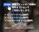 特定ツイートに「いいね」した人一覧のリスト作ります 最短当日納品｜分析に使えるいいねしたユーザーの数値情報も記載 イメージ9