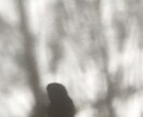 あなたの心を軽くするお手伝いします 他人に漏れては困る愚痴から軽い相談、重い悩みまでどうぞ。 イメージ1