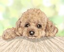 ペット肖像画A3【犬・猫胸から上】をお描きします ご満足いただけるまで修正無制限。心を込めてお描きいたします。 イメージ2