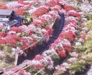 悩み聞きます 初心者なので練習相手お願いします相談事はたくさん聞いてます イメージ1